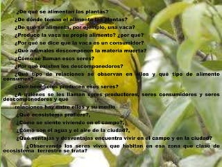 ¿De qué se alimentan las plantas?
¿De dónde toman el alimento las plantas?
¿De qué se alimenta, por ejemplo, una vaca?
¿Produce la vaca su propio alimento? ¿por qué?
¿Por qué se dice que la vaca es un consumidor?
¿Qué animales descomponen la materia muerta?

¿Cómo se llaman esos seres?
¿Por qué existen los descomponedores?
¿Qué tipo de relaciones se observan en ellos y qué tipo de alimento
consumen?
¿Qué beneficios producen esos seres?

¿A quiénes se les llaman seres productores, seres consumidores y seres
descomponedores y qué
relaciones hay entre ellos y su medio
¿Qué ecosistema prefiere?,
¿Cómo se siente viviendo en el campo?,

¿Cómo son el agua y el aire de la ciudad?,
¿Qué ventajas y desventajas encuentra vivir en el campo y en la ciudad?
¿Observando los seres vivos que habitan en esa zona que clase de
ecosistema terrestre se trata?

 