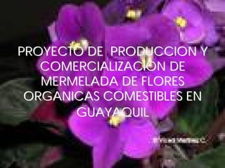 PROYECTO DE PRODUCCION Y
PROYECTO DE PRODUCCION Y
COMERCIALIZACION DE
COMERCIALIZACION DE
MERMELADA DE FLORES
MERMELADA DE FLORES
ORGANICAS COMESTIBLES EN
ORGANICAS COMESTIBLES EN
GUAYAQUIL
GUAYAQUIL
 