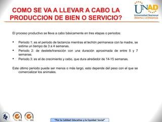 COMO SE VA A LLEVAR A CABO LA
PRODUCCION DE BIEN O SERVICIO?
El proceso productivo se lleva a cabo básicamente en tres etapas o periodos:




Periodo 1: es el periodo de lactancia mientras el lechón permanece con la madre, se
estima un tiempo de 3 a 4 semanas.
Periodo 2: de destete/transición con una duración aproximada de entre 5 y 7
semanas.
Periodo 3: es el de crecimiento y cebo, que dura alrededor de 14-15 semanas.

Este último periodo puede ser menos o más largo, esto depende del peso con el que se
comercializar los animales.

 