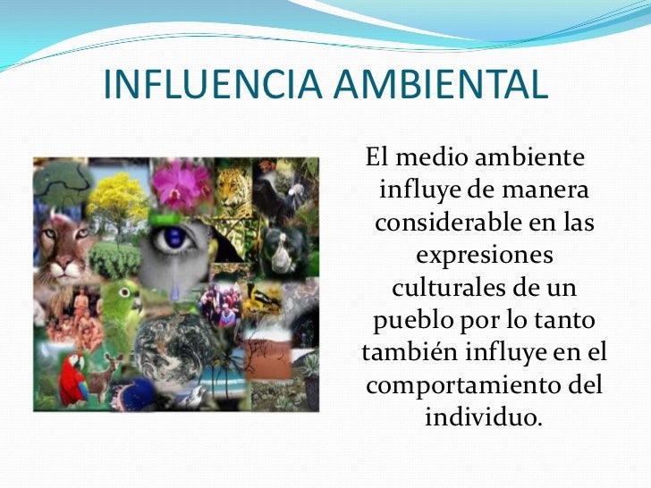 Diapositivas psicologia