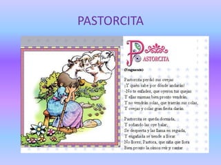 PASTORCITA