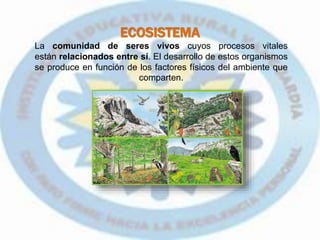 ECOSISTEMA
La comunidad de seres vivos cuyos procesos vitales
están relacionados entre sí. El desarrollo de estos organismos
se produce en función de los factores físicos del ambiente que
comparten.
 