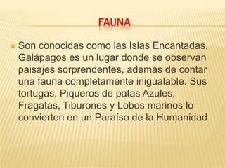 FAUNA

   Son conocidas como las Islas Encantadas,
    Galápagos es un lugar donde se observan
    paisajes sorprendentes, además de contar
    una fauna completamente inigualable. Sus
    tortugas, Piqueros de patas Azules,
    Fragatas, Tiburones y Lobos marinos lo
    convierten en un Paraíso de la Humanidad
 