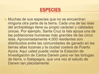ESPECIES
   Muchas de sus especies que no se encuentran
    ninguna otra parte de la tierra. Cada una de las islas
    del archipiélago tiene su propio carácter y calidades
    únicas. Por ejemplo, Santa Cruz la Isla apoya una de
    las poblaciones humanas más grandes de las cinco
    islas. Aproximadamente 4,000 residentes son
    distribuidos entre las comunidades de ganado en las
    tierras altas lozanas y la ciudad costera de Puerto
    Ayora. Aquí usted puede visitar la Estación de
    Investigación de Carlos Darwin para ver las tortugas
    de tierra, o Galapagos, que una vez el saludo de
    Darwin tan plácidamente.
 