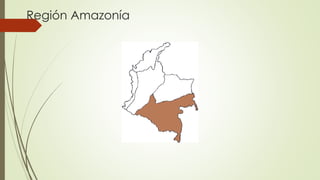 Región Amazonía
 