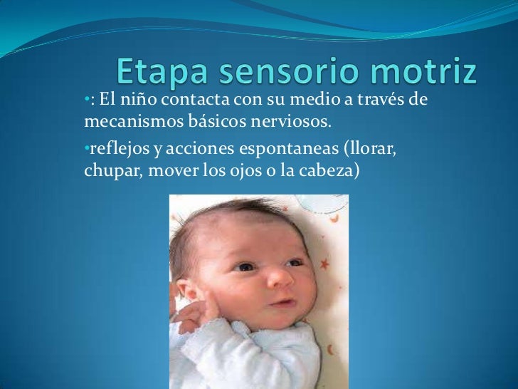 Etapas de Jean Piaget