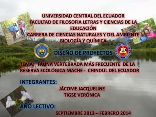 UNIVERSIDAD CENTRAL DEL ECUADOR
FACULTAD DE FILOSOFIA LETRAS Y CIENCIAS DE LA
EDUCACIÓN
CARRERA DE CIENCIAS NATURALES Y DEL AMBIENTE
BIOLOGÍA Y QUÍMICA
DISEÑO DE PROYECTOS
TEMA: FAUNA VERTEBRADA MÁS FRECUENTE DE LA
RESERVA ECOLÓGICA MACHE - CHINDUL DEL ECUADOR
INTEGRANTES:
JÁCOME JACQUELINE
TIGSE VERÓNICA
AÑO LECTIVO:
SEPTIEMBRE 2013 – FEBRERO 2014
 