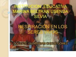 INSTITUCION EDUCATIVA
MARINA BELTRAN USENDA
SILVIA

RESPIRACIÓN EN LOS
SERES VIVOS
DOCENTE: LUZ MYRIAM CHICUÉ GÓMEZ

 