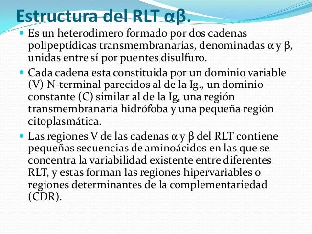 Diapositivas revision de inmunología