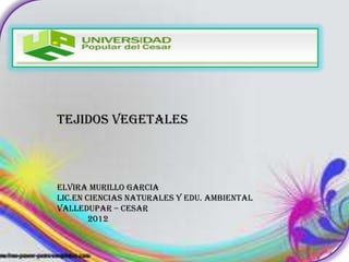 TEJIDOS VEGETALES



ELVIRA MURILLO GARCIA
LIC.EN CIENCIAS NATURALES Y EDU. AMBIENTAL
VALLEDUPAR – CESAR
        2012
 
