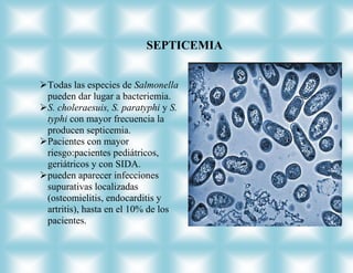 SEPTICEMIA


Todas las especies de Salmonella
 pueden dar lugar a bacteriemia.
S. choleraesuis, S. paratyphi y S.
 typhi con mayor frecuencia la
 producen septicemia.
Pacientes con mayor
 riesgo:pacientes pediátricos,
 geriátricos y con SIDA.
pueden aparecer infecciones
 supurativas localizadas
 (osteomielitis, endocarditis y
 artritis), hasta en el 10% de los
 pacientes.
 