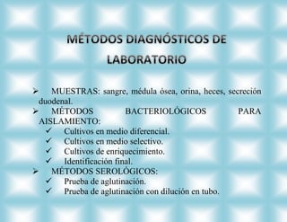  MUESTRAS: sangre, médula ósea, orina, heces, secreción
 duodenal.
 MÉTODOS              BACTERIOLÓGICOS            PARA
 AISLAMIENTO:
    Cultivos en medio diferencial.
    Cultivos en medio selectivo.
    Cultivos de enriquecimiento.
    Identificación final.
 MÉTODOS SEROLÓGICOS:
    Prueba de aglutinación.
    Prueba de aglutinación con dilución en tubo.
 