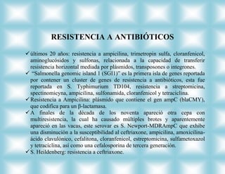 RESISTENCIA A ANTIBIÓTICOS

 últimos 20 años: resistencia a ampicilina, trimetropin sulfa, cloranfenicol,
  aminoglucósidos y sulfonas, relacionada a la capacidad de transferir
  resistencia horizontal mediada por plásmidos, transposones o integrones.
 “Salmonella genomic island 1 (SGI1)” es la primera isla de genes reportada
  por contener un cluster de genes de resistencia a antibióticos, esta fue
  reportada en S. Typhimurium TD104, resistencia a streptomicina,
  spectinomicyna, ampicilina, sulfonamida, cloranfenicol y tetraciclina.
 Resistencia a Ampicilina: plásmido que contiene el gen ampC (blaCMY),
  que codifica para un β-lactamasa.
 A finales de la década de los noventa apareció otra cepa con
  multiresistencia, la cual ha causado múltiples brotes y aparentemente
  apareció en las vacas, este serovar es S. Newport-MDRAmpC que exhibe
  una disminución a la susceptibilidad al ceftriaxone, ampicilina, amoxicilina-
  ácido clavulónico, cefalitona, cloranfenicol, estreptomicina, sulfametoxazol
  y tetraciclina, así como una cefalosporina de tercera generación.
 S. Heildenberg: resistencia a ceftriaxone.
 