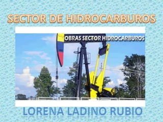 SECTOR DE HIDROCARBUROS LORENA LADINO RUBIO 