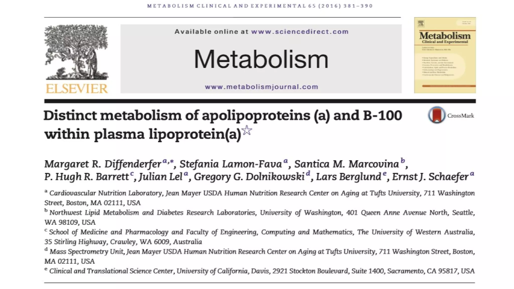 Lorem ipsum dolor
• Subtítulo subtítulo
 