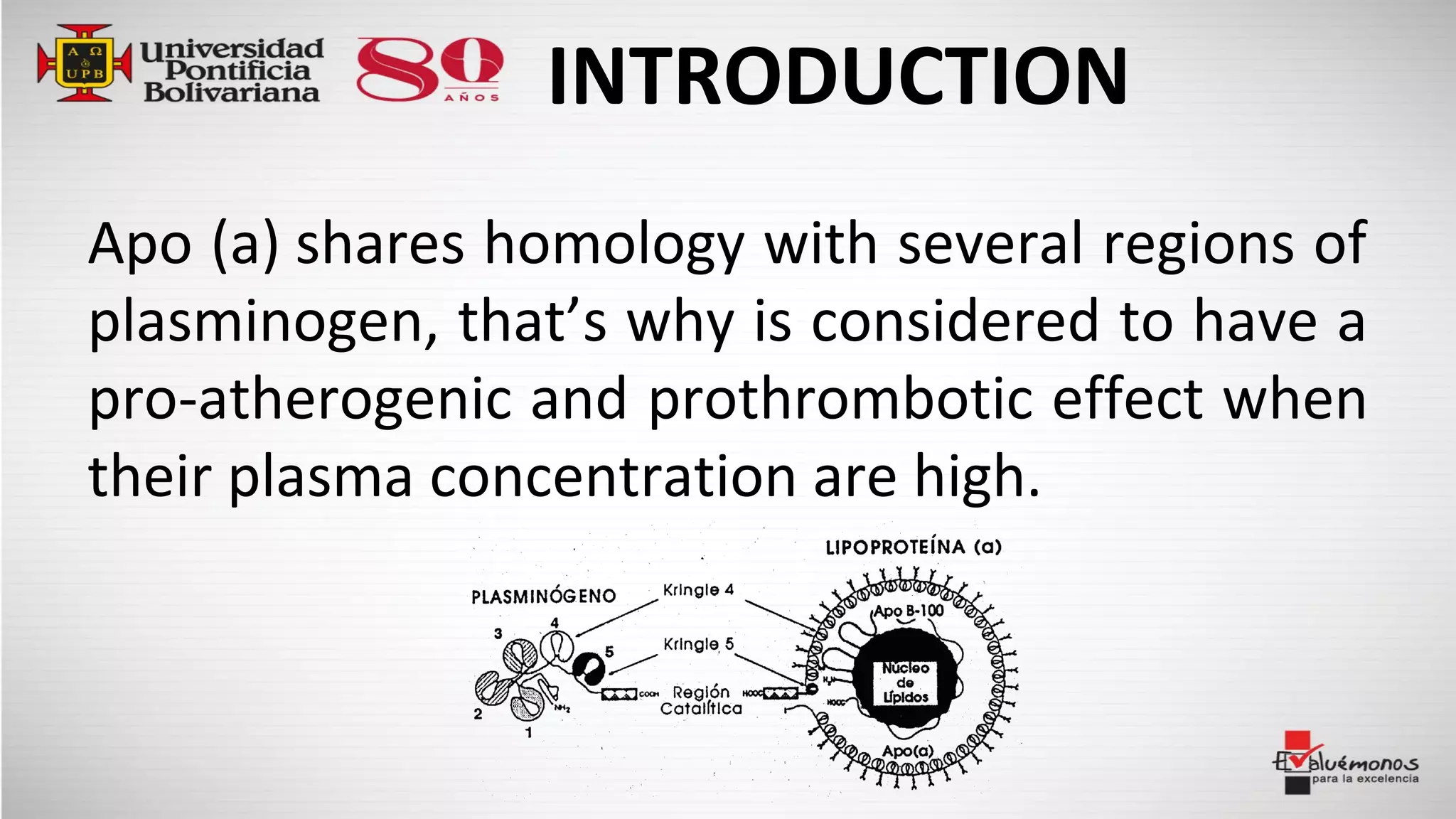 INTRODUCTION
Apo (a) shares homology with several regions of
plasminogen, that’s why is considered to have a
pro-atherogenic and prothrombotic effect when
their plasma concentration are high.
 