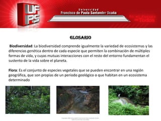 GLOSARIO
 Biodiversidad: La biodiversidad comprende igualmente la variedad de ecosistemas y las
                                 Ida sobr
diferencias genética dentro de cada especie que permiten la combinación de múltiples
formas de vida, y cuyas mutuas interacciones con el resto del entorno fundamentan el
sustento de la vida sobre el planeta.

Flora: Es el conjunto de especies vegetales que se pueden encontrar en una región
geográfica, que son propias de un periodo geológico o que habitan en un ecosistema
determinado
 