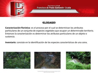 GLOSARIO
Caracterización florística: es el proceso por el cual se determinan los atributos
particulares de un conjunto de especies vegetales que ocupan un determinado territorio.
Entonces la caracterización es determinar los atributos particulares de un objeto o
sustancia.

Inventario: consiste en la identificación de las especies características de una zona.
 