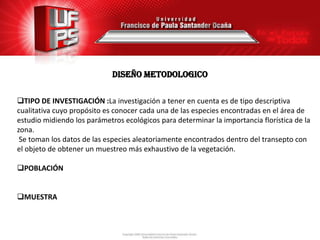 diseño METODOLOGICO

TIPO DE INVESTIGACIÓN :La investigación a tener en cuenta es de tipo descriptiva
cualitativa cuyo propósito es conocer cada una de las especies encontradas en el área de
estudio midiendo los parámetros ecológicos para determinar la importancia florística de la
zona.
 Se toman los datos de las especies aleatoriamente encontrados dentro del transepto con
el objeto de obtener un muestreo más exhaustivo de la vegetación.

POBLACIÓN


MUESTRA
 