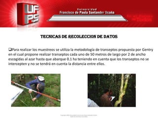 TECNICAS DE RECOLECCION DE DATOS

Para realizar los muestreos se utiliza la metodología de transeptos propuesta por Gentry
en el cual propone realizar transeptos cada uno de 50 metros de largo por 2 de ancho
escogidas al azar hasta que abarque 0.1 ha teniendo en cuenta que los transeptos no se
intercepten y no se tendrá en cuenta la distancia entre ellos.
 