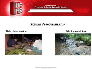 TÉCNICAS Y PROCEDIMIENTOS

Selección y muestreo:                               Delimitación del área


 