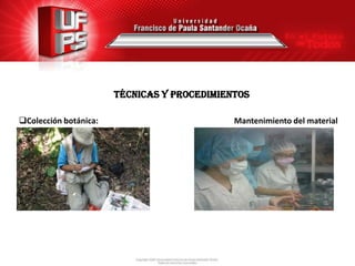 TÉCNICAS Y PROCEDIMIENTOS

Colección botánica:                            Mantenimiento del material

 Delimitación del área
 