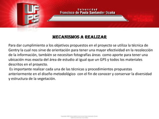 MECANISMOS A REALIZAR
Para dar cumplimiento a los objetivos propuestos en el proyecto se utiliza la técnica de
Gentry la cual nos sirve de orientación para tener una mayor efectividad en la recolección
de la información, también se necesitan fotografías áreas como aporte para tener una
ubicación mas exacta del área de estudio al igual que un GPS y todos los materiales
descritos en el proyecto.
Es importante realizar cada una de las técnicas y procedimientos propuestas
anteriormente en el diseño metodológico con el fin de conocer y conservar la diversidad
y estructura de la vegetación.
 