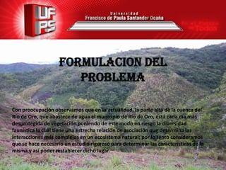 FORMULACION DEL
                       PROBLEMA

Con preocupación observamos que en la actualidad, la parte alta de la cuenca del
Río de Oro, que abastece de agua el municipio de Río de Oro, está cada día más
desprotegida de vegetación poniendo de este modo en riesgo la diversidad
faunística la cual tiene una estrecha relación de asociación que determina las
interacciones más complejas en un ecosistema natural; por lo tanto consideramos
que se hace necesario un estudio riguroso para determinar las características de la
misma y así poder restablecer dicho lugar.
 