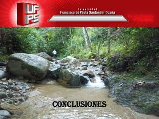 CONCLUSIONES
 