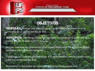 OBJETIVOS
General: Realizar una caracterización de la vegetación presente en la
parte alta de la cuenca del Río de Oro.

 Específicos :Identificar el tipo de vegetación existente en la parte alta de la
cuenca del Río de Oro.

Realizar muestras de observación directa para determinar los grupos de fauna
asociados a la vegetación existente.

Contribuir con este estudio preliminar a un acercamiento para la conservación
y manejo ambiental del área.

Determinar la diversidad de especies y estructura de la vegetación.
 