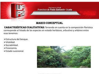 MARCO conceptual
 Características cualitativas: Teniendo en cuenta en la composición florística
corresponde al listado de las especies en estado herbáceo, arbustivo y arbóreo entre
esas tenemos:

Estructura del bosque.
Vitalidad.
Sociabilidad.
Fisionomía.
Estado sucesional.
 