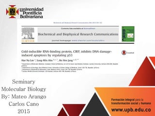Seminary
Molecular Biology
By: Mateo Arango
Carlos Cano
2015
 