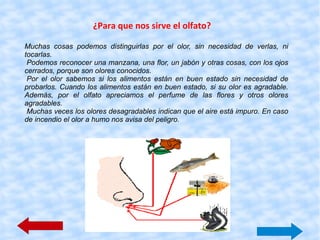 oido 2.gif Cuando se produce un sonido, por ejemplo, el toque de una campana, en el aire se producen ondas iguales a las que se observan en el agua. Así  viaja  el sonido. 