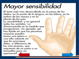El tacto El  tacto  nos informa de la dureza (duro/ blando), la temperatura (frío/ caliente), la textura (liso/ rugoso) de los objetos... La  piel  es el órgano del tacto. 