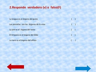 El  gusto  nos informa de los sabores.     La saliva y también los labios y las encías nos ayudan a conocer los distintos sabores. 
