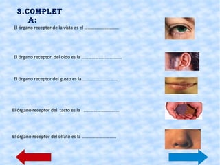     El sentido del gusto  nos protege : Nos avisa cuando llevamos a la boca un alimento que está en mal estado. 