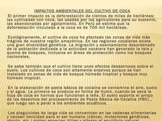 IMPACTOS AMBIENTALES DEL CULTIVO DE COCA 
El primer impacto es la deforestación de cientos de miles de hectáreas; 
las cultivadas con coca, las usadas por los agricultores para su sustento, 
las abandonadas por agotamiento. En Perú se estima que la 
deforestación vinculada a la coca es de 700 mil hectáreas. 
Ecológicamente, el cultivo de coca ha afectado las zonas de vida más 
frágiles de nuestra región amazónica. En las regiones cocaleras existe 
una gran diversidad genética. La migración y asentamiento desordenado 
de la población dedicada a la actividad cocalera han generado la tala y 
quema de bosques, inclusive en áreas de protección como los bosques 
nacionales. 
Se sabe también que el cultivo tiene unos efectos desastrosos sobre el 
suelo. Los cultivos de coca son altamente erosivos porque se han 
instalado en zonas de vida de bosque húmedo tropical y bosque muy 
húmedo tropical. 
En la elaboración de pasta básica de cocaína se contamina el aire, suelo 
y el agua. La primera se produce en forma de humo, cuando se seca la 
hoja de coca en hornos que funcionan a leña. El suelo sopor ta el arrojo 
de los desechos del procesamiento de Pasta Básica de Cocaína (PBC) , 
que luego van a parar a los ambientes acuáticos. 
Los plaguicidas de larga vida se concentran en las cadenas alimentarias 
y causan toxicidad para el ser humano (cáncer, mutaciones genéticas, 
abor to, etc.) matan especies útiles y alteran el equilibrio natural. 
 