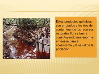 Estos productos químicos 
son arrojados a los ríos de 
contaminando los recursos 
naturales flora y fauna 
constituyendo una enorme 
amenaza para el 
ecosistema y la salud de la 
población. 
 