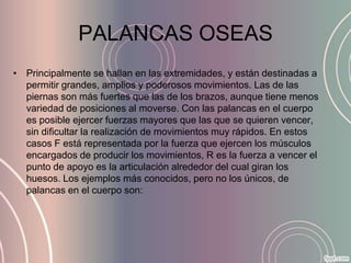PALANCAS OSEAS
• Principalmente se hallan en las extremidades, y están destinadas a
  permitir grandes, amplios y poderosos movimientos. Las de las
  piernas son más fuertes que las de los brazos, aunque tiene menos
  variedad de posiciones al moverse. Con las palancas en el cuerpo
  es posible ejercer fuerzas mayores que las que se quieren vencer,
  sin dificultar la realización de movimientos muy rápidos. En estos
  casos F está representada por la fuerza que ejercen los músculos
  encargados de producir los movimientos, R es la fuerza a vencer el
  punto de apoyo es la articulación alrededor del cual giran los
  huesos. Los ejemplos más conocidos, pero no los únicos, de
  palancas en el cuerpo son:
 