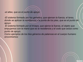 -el atlas, que es el punto de apoyo

-El sistema formado por los gemelos, que ejercen la fuerza, el tarso,
donde se aplican la resistencia y la punta de los pies, que es el punto de
apoyo.
 El sistema formado por el tríceps, que ejerce la fuerza, el objeto que
empujamos con la mano que es la resistencia y el codo que actúa como
punto de apoyo.
Como ejemplos de los tres géneros de palancas en el cuerpo humano
encontramos:
 