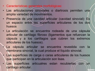 • Características generales morfológicas:
• Las articulaciones sinoviales o diartrosis permiten una
  amplia variedad de movimientos.
• Presencia de una cavidad articular (cavidad sinovial): Es
  un espacio entre las superficies articulares de los dos
  huesos
• La articulación se encuentra rodeada de una cápsula
  articular de cartílago fibroso (ligamentos que refuerzan la
  cápsula y a los cartílagos que cubren los extremos
  articulares de los huesos).
• La cápsula articular se encuentra revestida con la
  membrana sinovial, la cual produce el líquido sinovial.
• Las superficies de carga o caras articulares de los huesos
  que participan en la articulación son lisas.
• Las superficies articualres estan recubiertas con un
  cartílago articular.
 