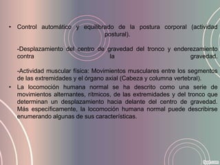 • Control automático y equilibrado de la postura corporal (actividad
                               postural).

  -Desplazamiento del centro de gravedad del tronco y enderezamiento
  contra                         la                        gravedad.

  -Actividad muscular física: Movimientos musculares entre los segmentos
  de las extremidades y el órgano axial (Cabeza y columna vertebral).
• La locomoción humana normal se ha descrito como una serie de
  movimientos alternantes, rítmicos, de las extremidades y del tronco que
  determinan un desplazamiento hacia delante del centro de gravedad.
  Más específicamente, la locomoción humana normal puede describirse
  enumerando algunas de sus características.
 