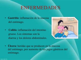 ENFERMEDADES
• Gastritis: inflamación de la mucosa
  del estómago.

• Colitis: inflamación del intestino
  grueso. Los síntomas son la
  diarrea y los dolores abdominales.

• Úlcera: heridas que se producen en la mucosa
  del estómago, por aumento de los jugos gástricos del
  estómago.
 