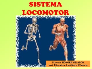 SISTEMA
LOCOMOTOR
Docente: NOHORA VELASCO
Inst. Educativa José María Córdoba
 