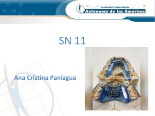 SN 11
Ana Cristina Paniagua
 