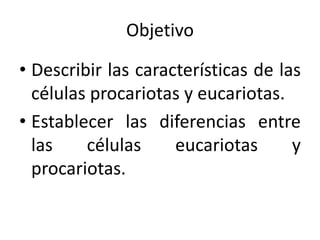 Objetivo 
• Describir las características de las 
células procariotas y eucariotas. 
• Establecer las diferencias entre 
las células eucariotas y 
procariotas. 
 