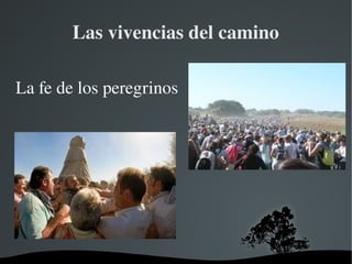   
Las vivencias del camino
La fe de los peregrinos
 