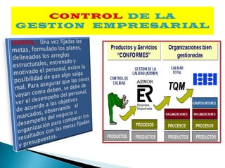 FUNCION  DE  PLANIFICACION   DE  LA GESTION   EMPRESARIAL