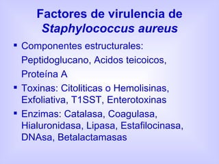 Factores de virulencia de  Staphylococcus aureus ,[object Object],[object Object],[object Object],[object Object],[object Object]