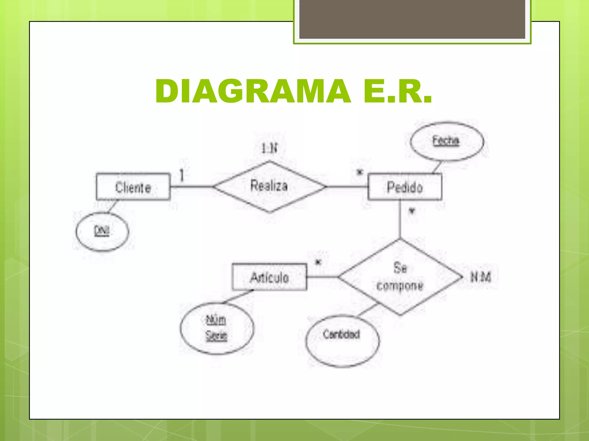 DIAGRAMA E.R.
 